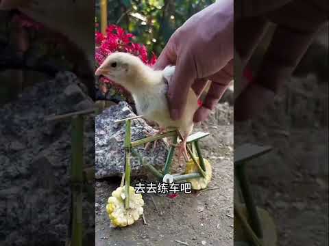 chintu का साईकिल ?~ mini wood toy -woodworking art skill wood / hand crafts / #shorts #viral
