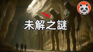 6個未解之謎，預言地圖，巨人骨頭，神秘手稿，十二面體【🐼熊貓周周】