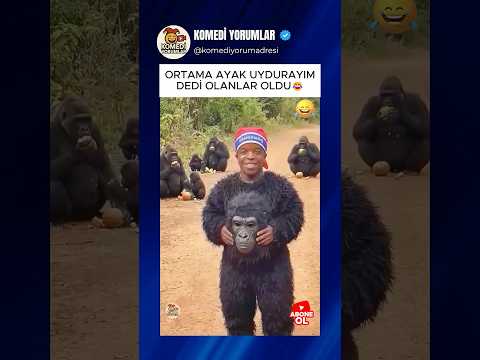 GORİL KIYAFETİ GİYİP ORTAMA AYAK UYDURAYIM DEDİ OLANLAR OLDU😂 #shorts #komikyorumlar