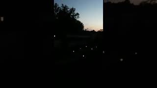 Elvis Presley - You'll Be Gone