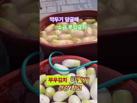 깍두기 담글때 소금으로 절이지 마세요 시원하고 아삭한 식감이 덜 합니다 #건강정보 #건강이최고다 건강하세요