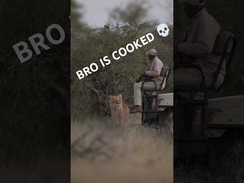 bro is cooked, boiled, fried ☠️☠️☠️ #creepy #scary #wild #cats #dominant #predator #apex