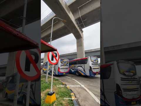 BUS SUGENG RAHAYU KE JAKARTA !?! #shorts #sugengrahayu #busmania #busjawatimur #busjawatimuran