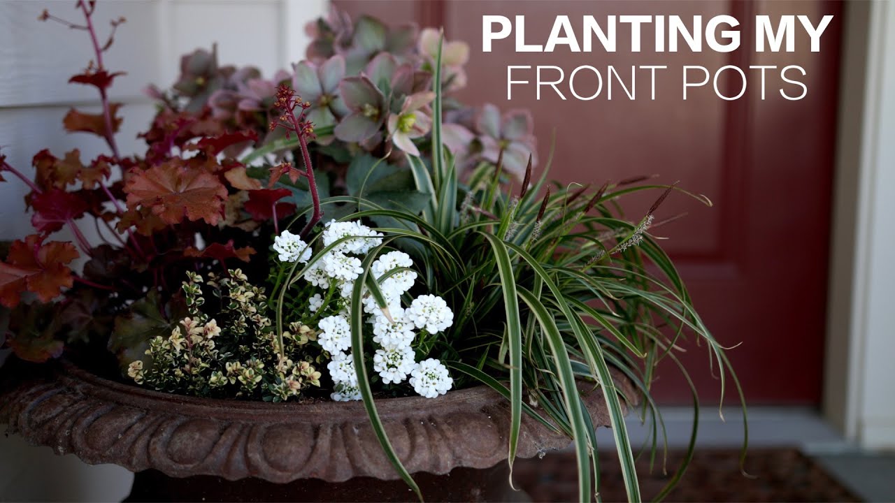 Planting My Front Pots #52