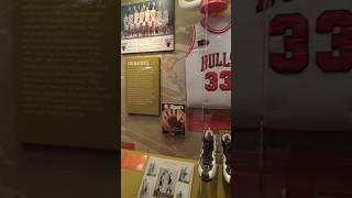 Chicago Bears & Chicago Bulls Sports Memorabilia #music #milliondollarbaby#shorts@itzangelyz6585
