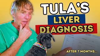 Did Tula Beat Liver Disease? Full 7-Month Health Update Revealed!
