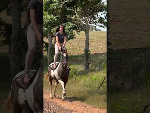 Beautiful #women #horseriding #sports #