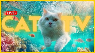[🔴LIVE] Music for Cats - TV + Soothing Anxiety Relief for All Cats 🐱