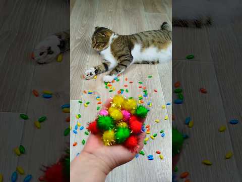 Cat Barsik Marbles 🌈❤ Reverse video #marblerunandmore #cat #reverse
