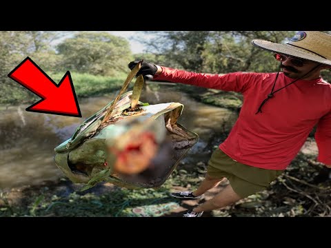 Achei MOCHILA com algo ASSUSTADOR neste Rio - Pesca Magnética
