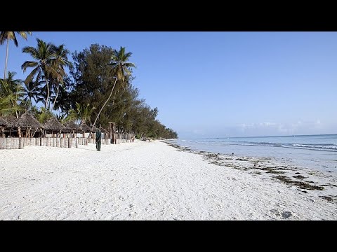 YouTube video thumbnail: Seaweed Farming in Zanzibar: Women at the Heart of a Blue Revolution