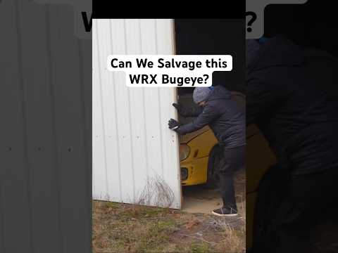 Can We Salvage this WRX Bugeye? #abandoned #carrestorationproject #barnfind