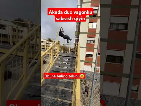 Akamiz bir umrlik omadini ishlatdiyov #osimliklar #rek #baki #shayxrahm #abakan #dance #horse #sport