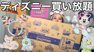 【総額７万円越え】ディズニーランド・シーでグッズ買い放題してきたらマジで楽しすぎてハッピーライド