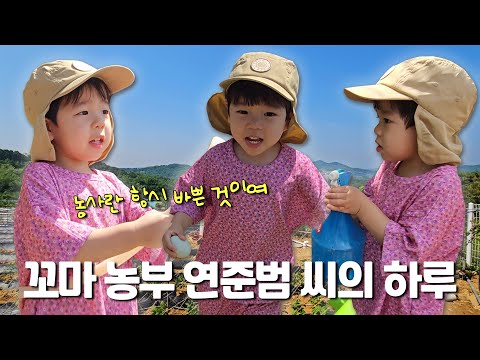 아빠 나 귀농할래