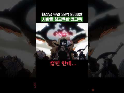 원피스) 현상금 무려 39억 9600만 사황을 참교육한 밍크족
