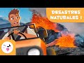 Natural Disasters and Phenomena