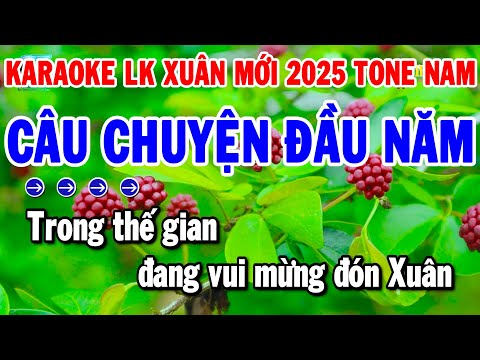 Karaoke Liên Khúc Tone Nam Nhạc Xuân 2025 | Câu Chuyện Đầu Năm -Đón Xuân Này Tôi Nhớ Xuân Xưa