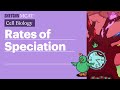 Adaptive Radiation and Ecological Niches