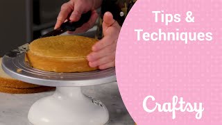 How to Tort and Level Cake Rounds Before Stacking — Joshua John Russell