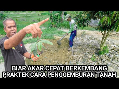 Praktek Cara Penggemburan Tanah