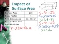 Surface Area and Perimeter of Solids