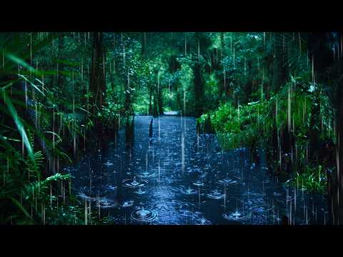 White Noise of River & Rain Sounds for Sleeping