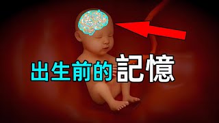 【出生前的記憶 】3個有胎內記憶的案例，孩子出生前在哪裡？他們都在幹什麼？【🐼熊貓周周】