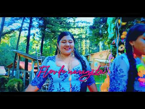 ROSITA FLORES y la Pandilla Flor de Rosas del Valle - flor de naranjita  | NEVADITA PRODUCCIONES✔