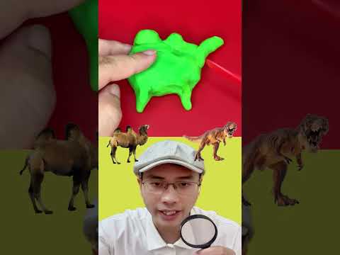 thử tài đoán đúng tập 65 #shorts #shortsvideo #short #shortvideo