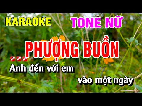 Phượng Buồn Karaoke Tone Nữ Nhạc Sống Hay Nhất | Nguyễn Linh