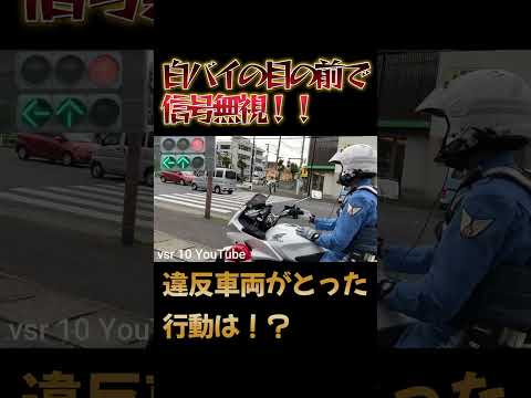 まさかの目の前で信号無視　白バイ神対応