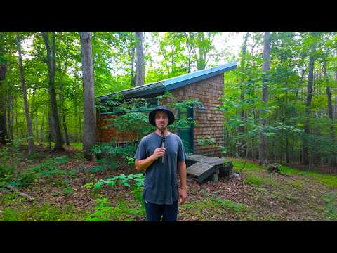 I Built This Cabin 5 Years Ago… Here’s How It’s Holding Up