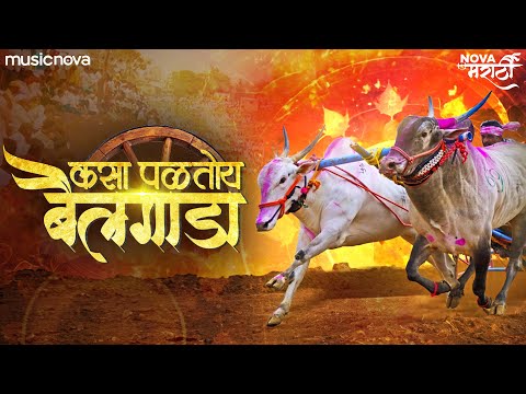 लाल मातीत घालून राडा कसा पळतोय बैलगाडा | Marathi Song | Lokgeet | बैलगाडा Bailgada Song