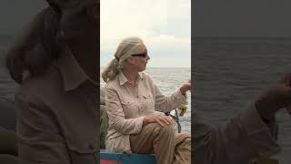 Jane: One Woman Who Changed Science