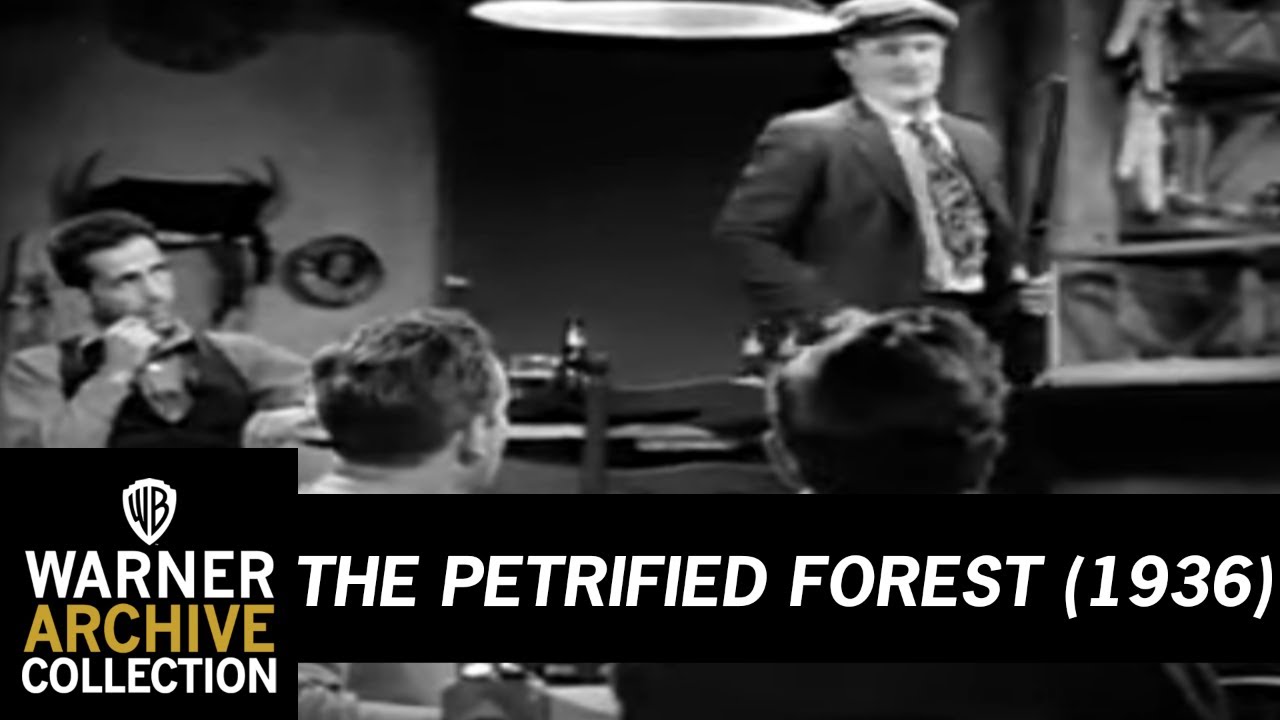 The Petrified Forest Trailerin pikkukuva