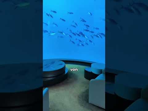 Sie konnte nie "Ja" sagen😰💍