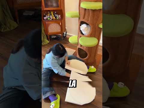 Sofiya hizo una casa de gato de diseño de árbol 😸🤩