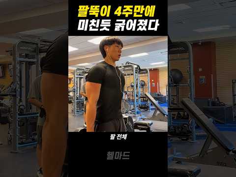 팔뚝이 바로 굵어지는 운동