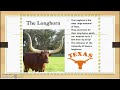 Texas Symbols and History