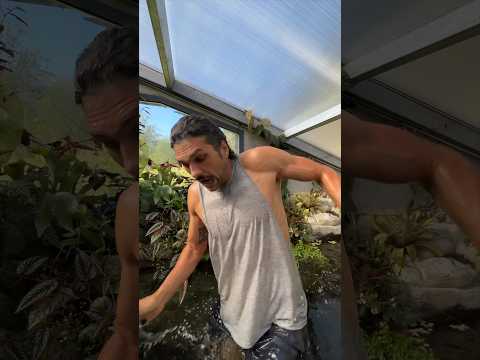 Baignade avec les Piranhas 🤯