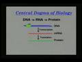 DNA and Gene Function Concepts