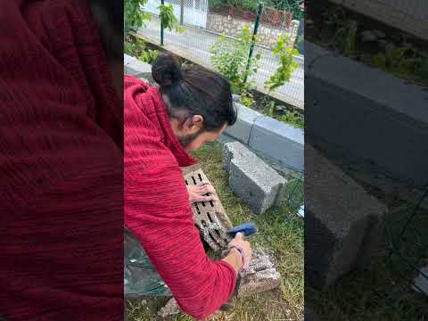 Köpeğime Oda Yaptım