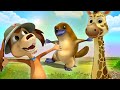 Understanding Unique Animals