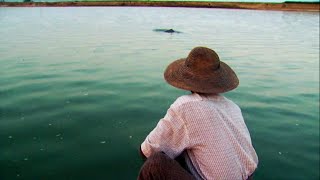 Myanmar Dolphins and Fishermen Work Together | Documentary