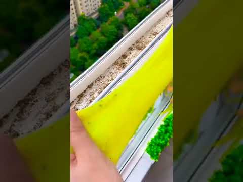 Top video ngắn, triệu view p992 #shorts