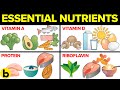 Vitamins and Nutrients in Health