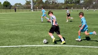 2026 U12: Northern Tigers vs Hakoah (Game 1)