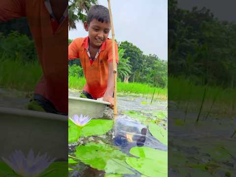 Amazing boy fishing with bottle trap #fishing #fishtrap #shorts
