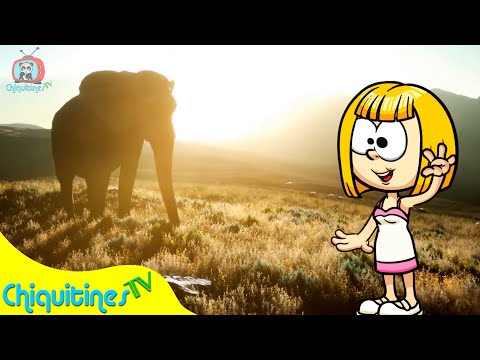 Escuchemos a los Animales - Canción Infantil